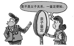 南昌匿名亲子鉴定要多少钱的费用，南昌个人亲子鉴定办理的流程