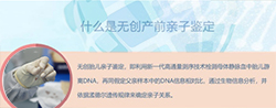 南昌怀孕11周如何做无创孕期亲子鉴定，南昌做无创孕期亲子鉴定多少钱一次